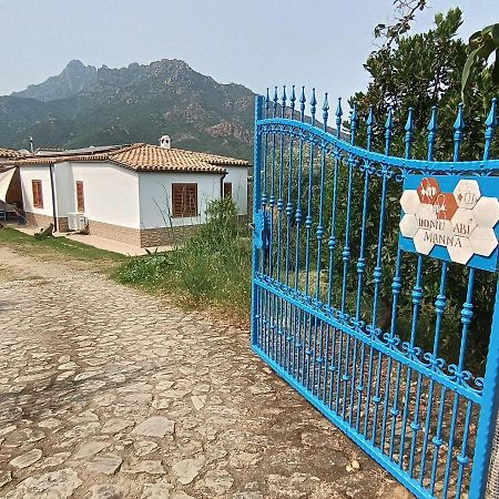 Domu Abi Manna Villa Tertenìa Exterior foto